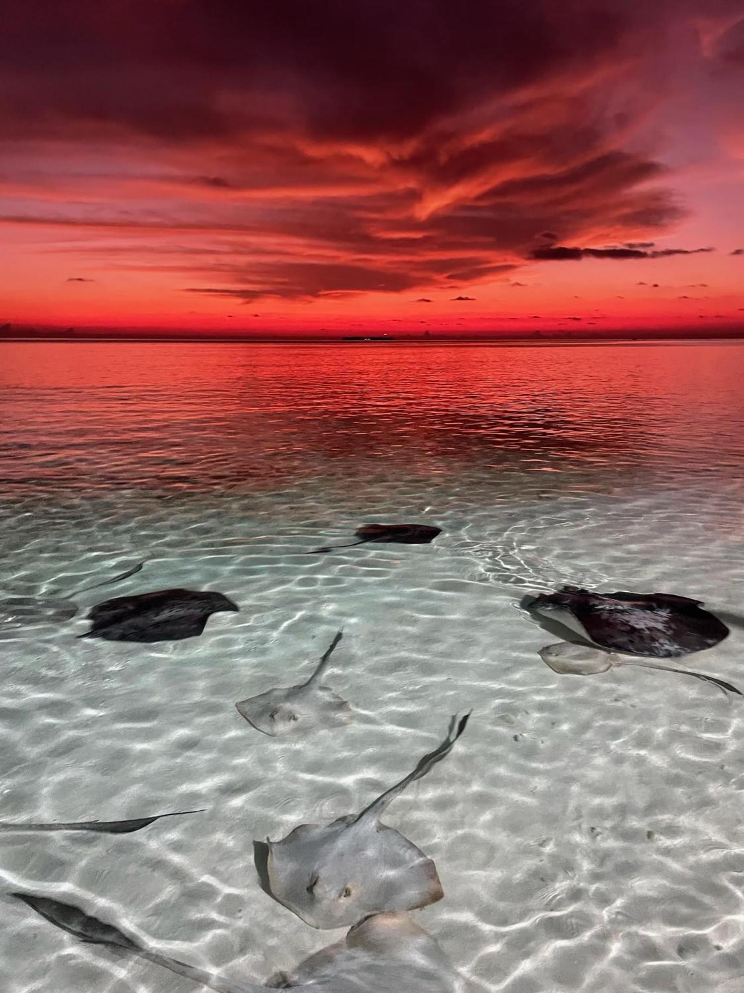 Hudhuvelimaldives Hotel Omadhoo Kültér fotó