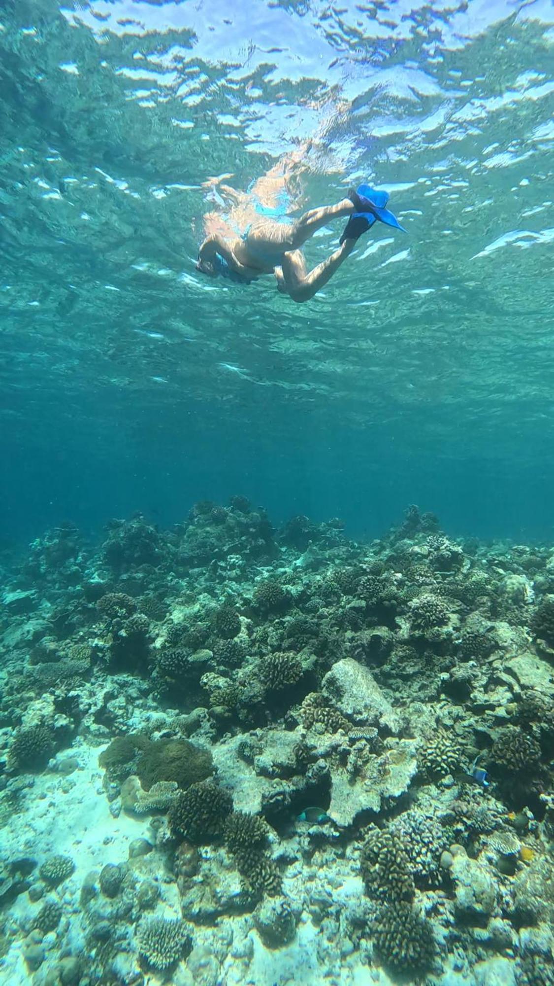 Hudhuvelimaldives Hotel Omadhoo Kültér fotó